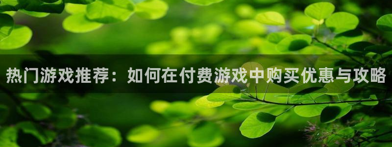 赢咖娱乐注册官方登录app：热门游戏推荐：如何在付费游戏中购