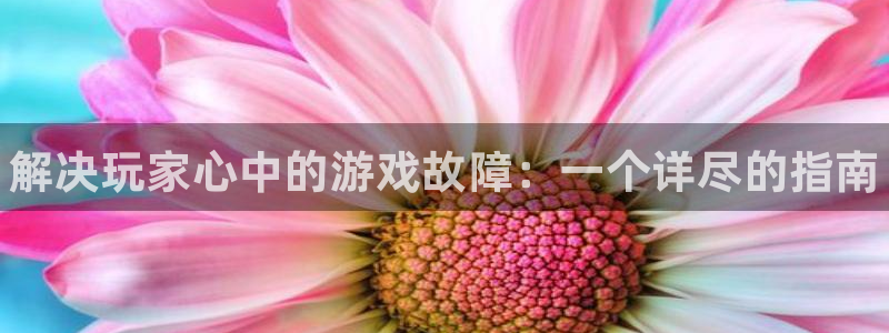 赢咖娱乐注册地址：解决玩家心中的游戏故障：一个详尽的指南