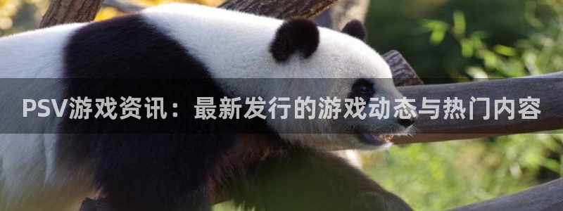 赢咖娱乐线路测试：PSV游戏资讯：最新发行的游戏动态与热门内