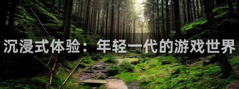 赢咖娱乐平台注册开户：沉浸式体验：年轻一代的游戏世界