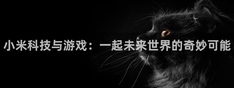 赢咖娱乐平台登陆：小米科技与游戏：一起未来世界的奇妙可能