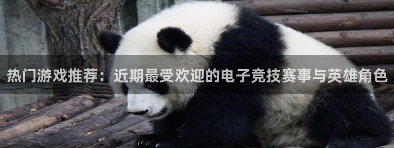 赢咖娱乐平台官方网站：热门游戏推荐：近期最受欢迎的电子竞技赛