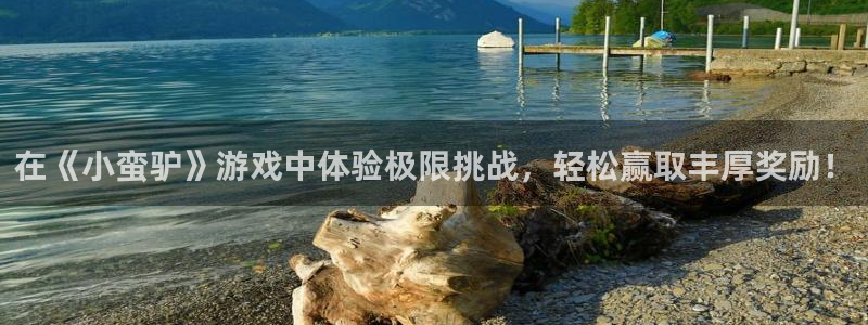 赢咖娱乐app下载：在《小蛮驴》游戏中体验极限挑战，轻松赢取