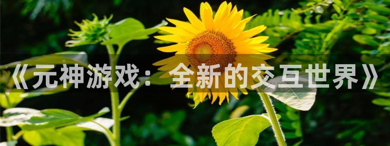 赢咖娱乐线路测试：《元神游戏：全新的交互世界》