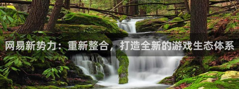 手机赢咖娱乐下载安装：网易新势力：重新整合，打造全新的游戏生