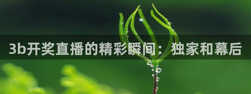 833免费看球直播：3b开奖直播的精彩瞬间：独家和幕后