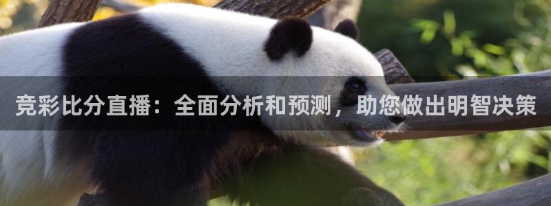 833体育直播免费观看：竞彩比分直播：全面分析和预测，助您做出明智决策