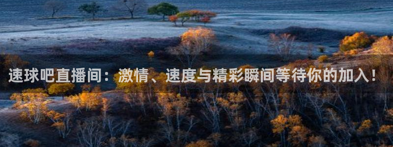 833nba直播免费高清直播：速球吧直播间：激情、速度与精彩瞬间等待你的加入！