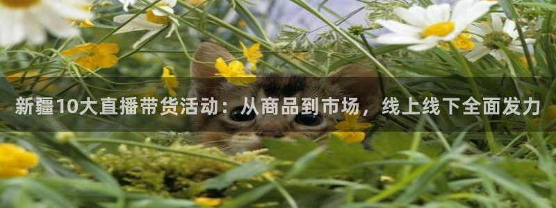 833足球直播免费观看直播：新疆10大直播带货活动：从商品到市场，线上线下全面发力