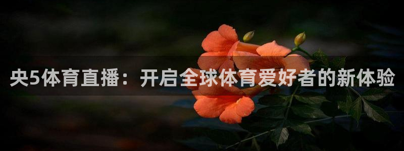 833直播nba免费观看高清直播：央5体育直播：开启全球体育爱好者的新体验