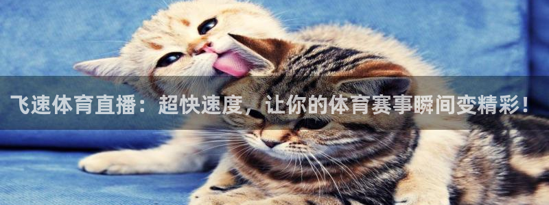 nba833直播：飞速体育直播：超快速度，让你的体育赛事瞬间变精彩！