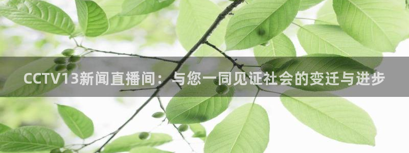 833直播nba：CCTV13新闻直播间：与您一同见证社会的变迁与进步