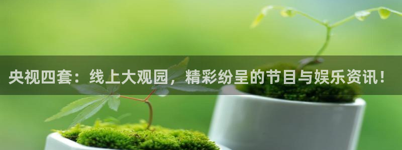833免费看球直播：央视四套：线上大观园，精彩纷呈的节目与娱乐资讯！