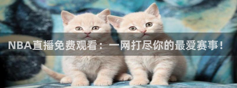 833体育在线直播在线看：NBA直播免费观看：一网打尽你的最爱赛事！