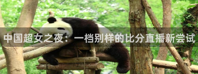 球帝833直播入口：中国超女之夜：一档别样的比分直播新尝试