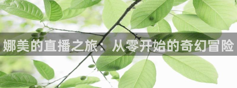 833直播足球比赛在线观看下载：娜美的直播之旅：从零开始的奇幻冒险
