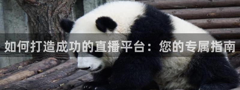 833直播体育免费观看入口：如何打造成功的直播平台：您的专属指南