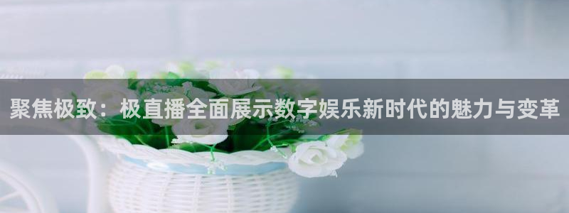 833直播比赛免费观看入口：聚焦极致：极直播全面展示数字娱乐新时代的魅力与变革