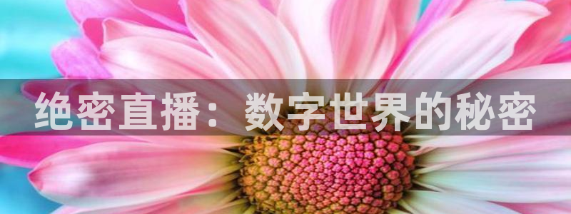 833比赛直播观看：绝密直播：数字世界的秘密