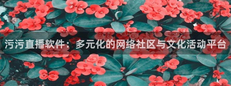 833直播：污污直播软件：多元化的网络社区与文化活动平台