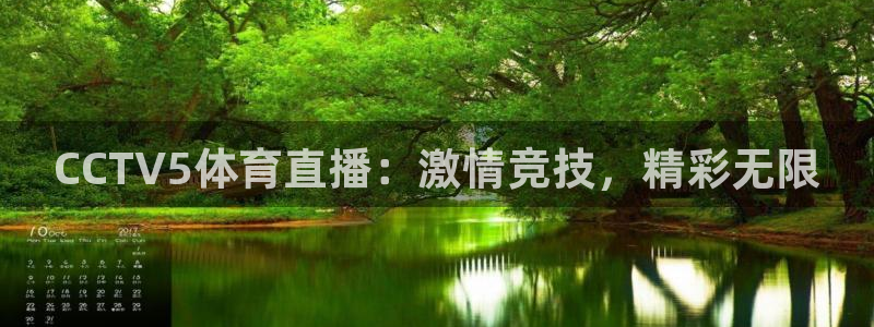 833足球比赛直播：CCTV5体育直播：激情竞技，精彩无限